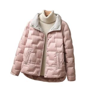 Veste boutonnage simple mode légère bouffante Parka vêtements d'extérieur 2024 nouveau automne hiver femmes blanc duvet de canard veste bouffante - Product Image 5