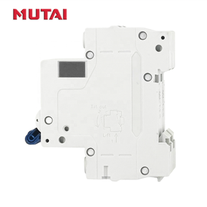 MUTAI Factory AC <span class=keywords><strong>Disyuntor</strong></span> 16 <span class=keywords><strong>20</strong></span> 25 32 50 63 <span class=keywords><strong>Amp</strong></span> MCB Precio 2 Polos 2 P <span class=keywords><strong>Disyuntor</strong></span> eléctrico en miniatura - Product Image 3