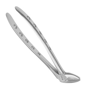 Pinzas Dentales de Color Dorado con Media Mango, Fáciles de Usar, Nuevas Pinzas de Acero Inoxidable para Extracción de Raíces Dentales - Product Image 3