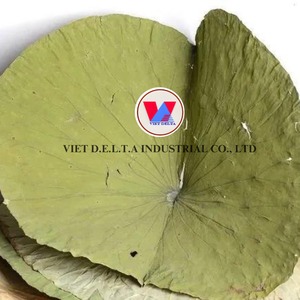 Hoja de loto seca para té: de loto fresco de alta calidad y buen precio - Product Image 3