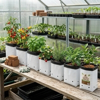 Sacs de culture en tissu PP de haute qualité pour culture hydroponique de cocofibres, écologiques, durables, à prix compétitif, pour la culture de champignons en jardin