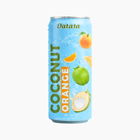 2026 Trending Kokoswater OEM Drankje Puur Natuurlijk Suiker Vrij Gesteriliseerd Vietnamese Smaak Blik (Geblikte verpakking)