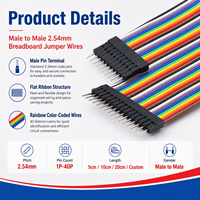 Cableado Dupont Personalizado Macho a Macho 1P 2P 3P 4P 5P 6P 10P 20P 30P 40P 2.54mm, Cables Jumper para Breadboard, Arnés de Cable Plano Tipo Cinta