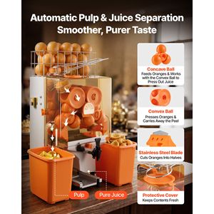 Presse-agrumes électrique commercial 120W en acier inoxydable, capacité de 20 oranges par minute - Product Image 3