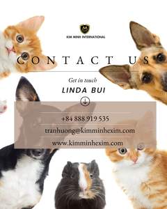 Granulés de maïs de haute qualité pour l'alimentation animale - Product Image 3