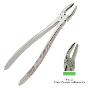 Forceps d'extraction dentaire manuels réutilisables en acier inoxydable, instrument dentaire à motif anglais pour canines inférieures Shuja Surgico - Product Image 2