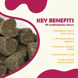 Masticables Multivitamínicos para Perros con Glucosamina y Condroitina, Soporte para Cadera y Articulaciones, Salud Inmunológica, Suplemento Vitamínico para Mascotas, Suministro al por Mayor OEM - Product Image 3