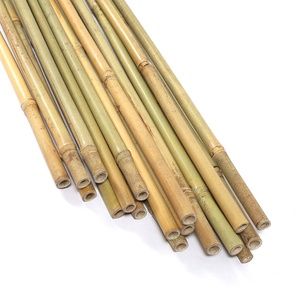 Canne en bambou écologique, bâton brut pour la décoration et la construction, piquet naturel durable - Product Image 3