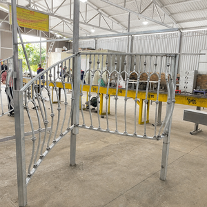 Custom Wrought <b>Iron</b> Balcony Railings With Premium Craftsmanship, Superior Safety, Timeless Elegance, and Lasting Durability - Product Image 5