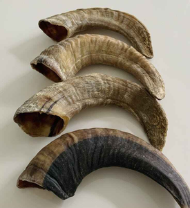 Orejas de Búfalo Secas 100% Orgánicas para Perros, Masticables Naturales, Seguros, Saludables y Ecológicos, Alimento para Mascotas de la India, Orejas de Vaca 100% Blanqueadas/Ahumadas para Perros - Product Image 6