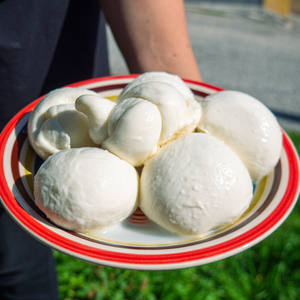 Proveedor Mayorista de Queso Mozzarella Fresco Premium que Ofrece las Mejores Tarifas para Distribuidores de Alimentos - Empaquetado a Granel y Procesamiento en Crudo - Product Image 6