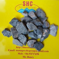 Poudre de Dolomite Marque SHC Chaux Vive 55% CaO Dessiccant Meilleur Prix Gris pour l'Acier, l'Agriculture et la Fabrication du Verre Exporté du Vietnam
