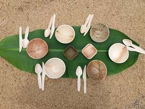 Palm Leaf <b>Disposable</b> <b>Plate</b> Bowl Spoon Set Biodegradable Dinnerware Rectangular Meal Tray for Restaurant Home Use - Product Image 5