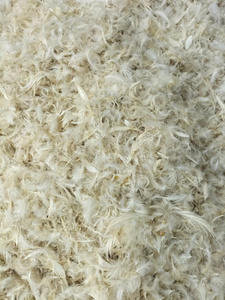 Plumes de canard blanches de haute qualité du Vietnam, lavées, motif uni, meilleur prix pour l'exportation Viet Seafarm - Product Image 3