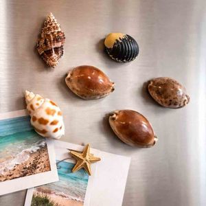 Juego de imanes para refrigerador hechos a mano con conchas marinas para decoración de cocina y nevera. - Product Image 2
