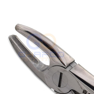Prix de gros – Meilleures ventes : Forceps d'extraction dentaire manuels en acier inoxydable, fabriqués au Pakistan - Product Image 5