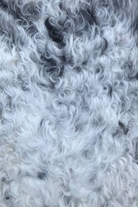 Material de Cuero de Piel de Oveja de Doble Cara Personalizado, Piel de Cordero Natural Rizada Nappa Española Tigrada para Chaquetas y Bolsos - Product Image 4