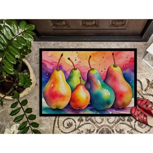 Felpudo antideslizante de peras coloridas para interiores/exteriores, 24H X 36W, alfombrilla lavable para puerta delantera de pila baja para entrada - Product Image 3