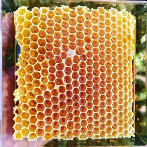 Miel Cruda de Primera Calidad en Forma de Panal, Producto Natural de Abejas, Empaque a Granel - Product Image 6