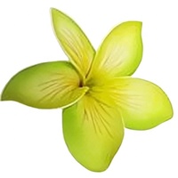 Produk Laris dari Thailand Bunga Busa Plumeria Frangipani dengan Cetakan Unik Aksesoris Fashion (Paket 100 Buah)