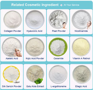 ヒアルロン酸粉末<span class=keywords><strong>HA</strong></span>ヒアルロン酸ナトリウムバルク化粧品グレード - Product Image 3