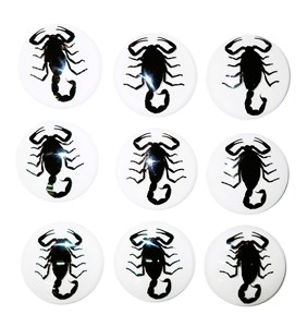 Black Scorpion Real Specimen Plastic Cabochon Round 38x38 mm White Flat Bottom for Crafts and Jewelry Making - Product Image 5