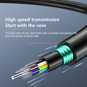 Ngoài trời duy nhất chế độ sợi quang Cáp <span class=keywords><strong>gyfty53</strong></span> 4/8/12/24/48/96/144/288 lõi PVC Áo khoác bọc thép cho trên không - Product Image 3