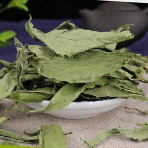 Hojas de Stevia Rebaudiana Secas Naturales Enteras, Bolsa de 10 kg, para Compradores al por Mayor y Proveedores de Ingredientes Alimenticios - Product Image 3