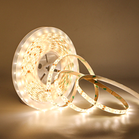 Bande lumineuse LED étanche IP65 12V 2835 120 LED bicolore 3000K 6000K