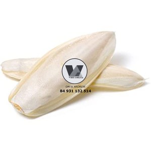 Hueso de Sepia Seco Ecológico de 15-20cm, Hueso de Sepia Entero para Aves, Juguete Masticable de Calcio para Recortar el Pico del Loro - Product Image 4