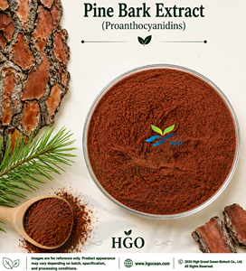 Suministro directo de fábrica HGO de extracto de corteza de pino natural (grado alimenticio) Especificación proantocianidinas 95% (extracto estandarizado) - Product Image 1