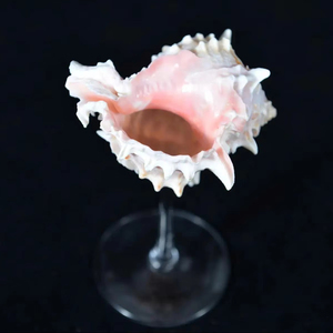 Copas de Vino Personalizadas con Diseño de Conchas Marinas 2026, Copas de Martini con Diseño de Conchas Marinas, Regalos para Damas de Honor de Boda, Regalos para Despedida de Soltera, Regalos de Aniversario - Product Image 1