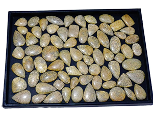 Cuarzo Fossilizado Natural de Primera Calidad, Forma Personalizada, Cabujón, Piedra Preciosa Suelta, Precio al por Mayor para la Fabricación de Joyería - Product Image 1