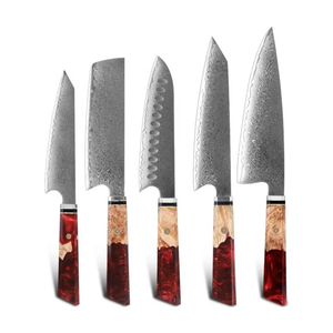 Damascus Steel 67-Layer Knife Set 5 Piece Resin Handle Handmade Sharp Sustainable Chef Knives Ambidextrous Straight Edge - Product Image 1