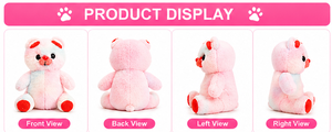 Ours en peluche arc-en-ciel, jouet en peluche doux en velboa, coussin à câliner, cadeau, OEM personnalisé, vente en gros - Product Image 4
