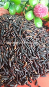 Arroz Negro Orgánico Sin OMG y Sin Gluten, Arroz Natural Saludable de la Fábrica VILACONIC [Sandra] - Product Image 4