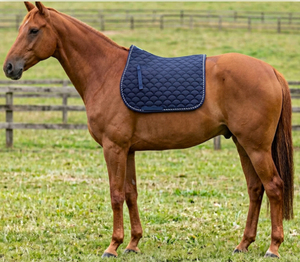 Almohadilla de Montar Acolchada Premium para Carreras |   Sudadero Ecuestre Transpirable para Doma y Salto |   Colores y Tamaños Personalizados Disponibles - Product Image 4