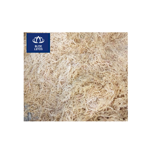 ENTREGA INMEDIATA Algas Marinas Secas Ecológicas, Seguras y Limpias, Ideales para Preparación de Postres y Cuidado de la Piel, Precio - Product Image 1