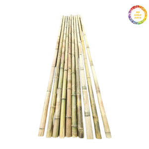 Varas de bambú de alta calidad para una variedad de usos, incluyendo construcción, proyectos de manualidades y decoración exterior. - Product Image 3