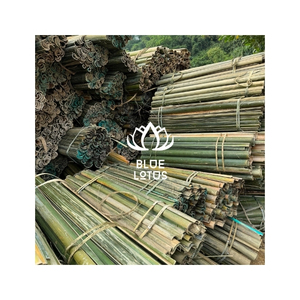Tiras de Bambú de Primera Calidad para la Fabricación de Cestas y Proyectos de Decoración del Hogar, Listas para Compradores Mayoristas Globales - Product Image 1