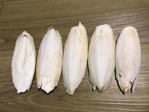 Seiche séchée entière 10-20cm, riche en protéines, produit de la mer de première qualité du Vietnam, emballage en sac, nutritif, conservation 2 ans - Product Image 5