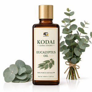 Kodai น้ำมันยูคาลิปตัส100มล. น้ำมันสมุนไพรธรรมชาติบริสุทธิ์100% สำหรับดูแลผิว - Product Image 1