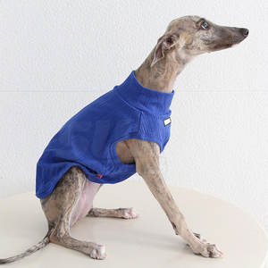 Traje Clásico para Perro de Poliéster Resistente, Ajustable, Ligero, a la Moda para Invierno, Disfraz para Cachorro, Servicio OEM, Ropa para Fiestas - Product Image 1