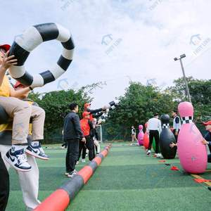 Best-Selling Export Grade Inflatable Thuy Linh <b>Bowling</b> Team Building Outdoor Activities Games Viet Nam PVC Easy Install - Product Image 6
