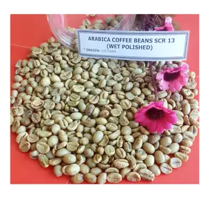 Hochwertige Arabica Robusta gewaschene grüne Kaffeebohnen aus Vietnam Whatsapp: +84398885178 Jenny Doan