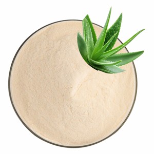 Extracto de Gel de Aloe Vera 100% Puro de Primera Calidad 200:1, Extracto de Aloe Barbadensis en Polvo de Alta Potencia de la India - Product Image 4