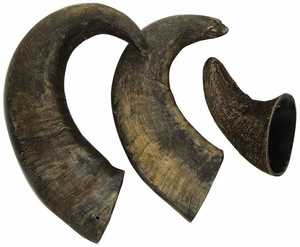Buffalo Horn Dog CHEOO 100% Naturel, Friandises à Mâcher Rondes pour Chiens, Sans Produits Chimiques, Sans Conservateurs, Écologique, Style Animal Personnalisé - Product Image 4