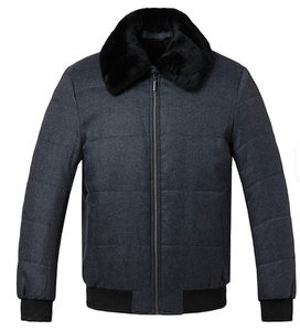 Chaqueta Acolchada con Capucha y Cuello Alto para Hombre AQTQ, Cierre de Cremallera, Forro de Piel Sintética, Resistente al Viento, Secado Rápido, Estilo Urbano Informal para Invierno - Product Image 1