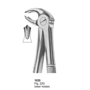 คีมถอนฟัน รุ่น Fig. ฟันกรามล่าง 22G (แบบอังกฤษ) |   สแตนเลสเกรดพรีเมียม - Product Image 1