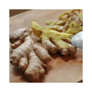 Racine de gingembre frais naturel pour la distribution en gros, la transformation alimentaire et les marchés commerciaux - Product Image 4